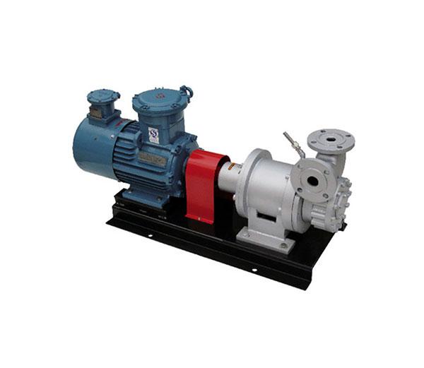 CWB Magnetic Drive Vortex Pump